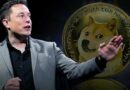 Elon Musk et Dogecoin